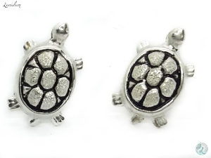 ARETES TORTUGUITAS