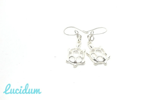 ARETES TORTUGA